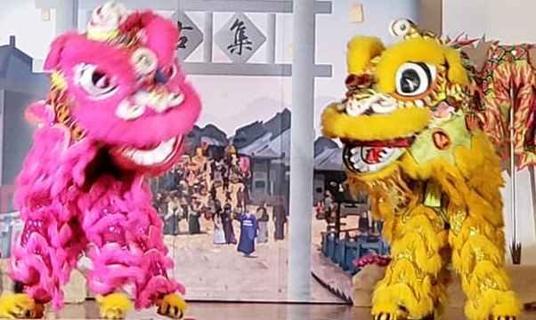 舞龍舞獅表演